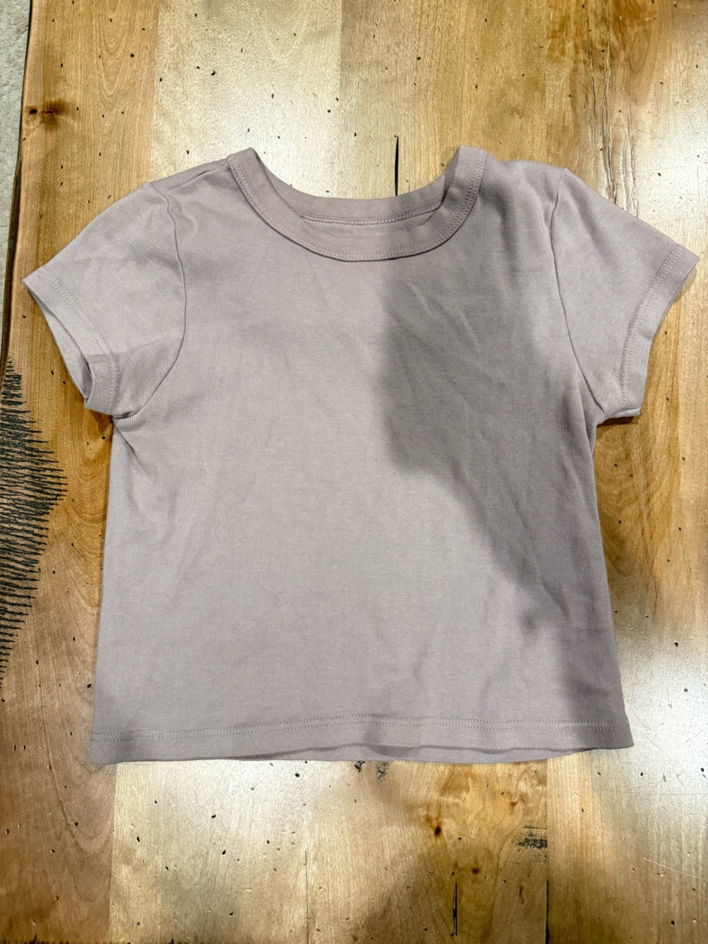 Brandy Melville Mauve Short Sleeve Tee